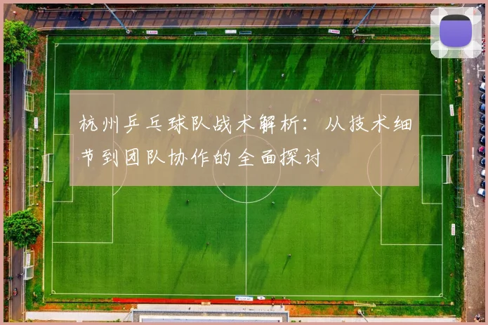 杭州乒乓球队战术解析：从技术细节到团队协作的全面探讨